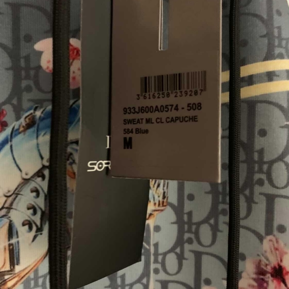 COPY - Dior x Sorayama oblique T-Rex hoodie - Picture 6 of 9